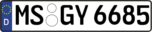MS-GY6685