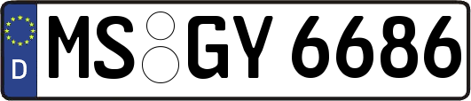 MS-GY6686