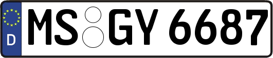 MS-GY6687