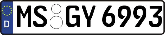 MS-GY6993