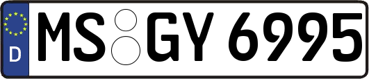 MS-GY6995