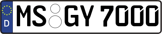 MS-GY7000