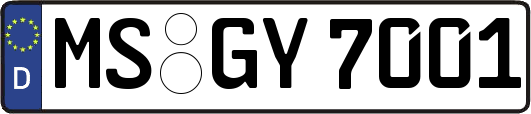 MS-GY7001