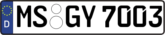 MS-GY7003