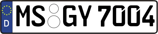 MS-GY7004