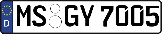 MS-GY7005
