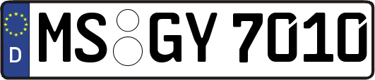 MS-GY7010