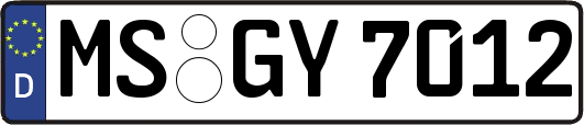 MS-GY7012