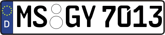 MS-GY7013