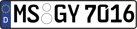 MS-GY7016
