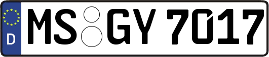 MS-GY7017