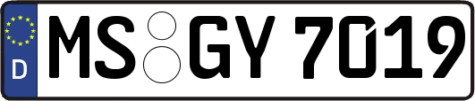 MS-GY7019