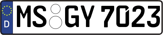 MS-GY7023