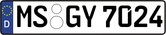 MS-GY7024