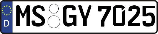MS-GY7025