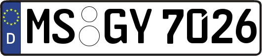 MS-GY7026