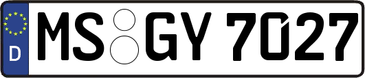 MS-GY7027