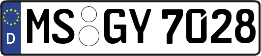 MS-GY7028
