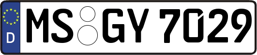 MS-GY7029