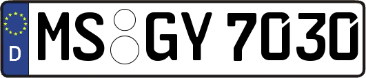 MS-GY7030