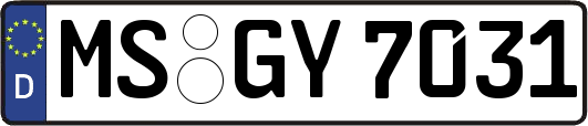 MS-GY7031