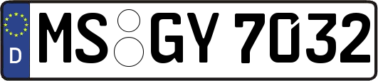 MS-GY7032