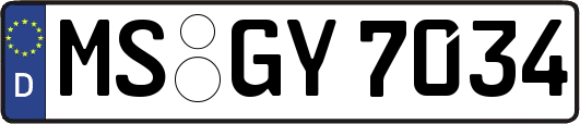 MS-GY7034