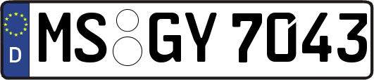 MS-GY7043