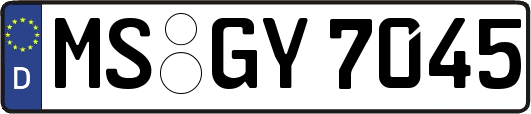 MS-GY7045