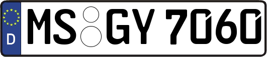 MS-GY7060