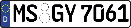 MS-GY7061