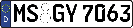 MS-GY7063