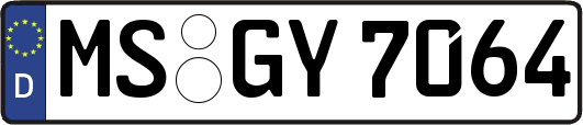 MS-GY7064