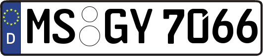 MS-GY7066
