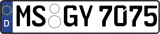 MS-GY7075