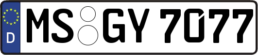 MS-GY7077