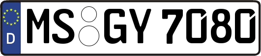 MS-GY7080