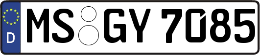 MS-GY7085