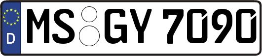 MS-GY7090