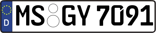 MS-GY7091