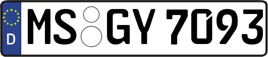 MS-GY7093