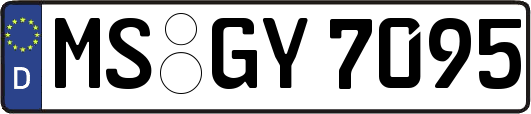 MS-GY7095