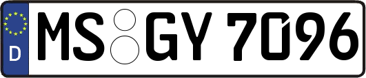 MS-GY7096