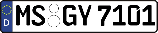 MS-GY7101