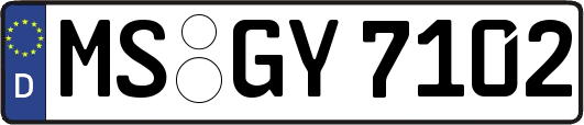 MS-GY7102