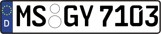 MS-GY7103