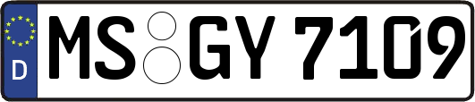 MS-GY7109