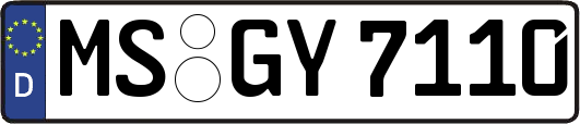 MS-GY7110