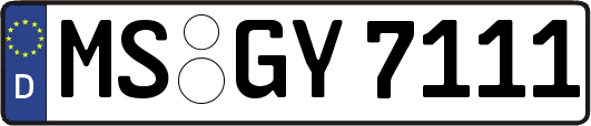 MS-GY7111