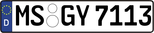 MS-GY7113